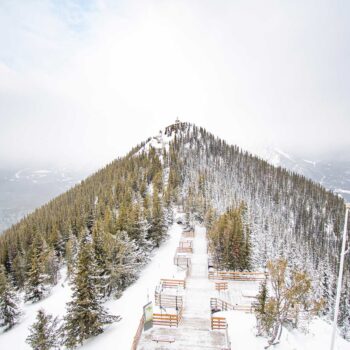 Banff Gondola & Boardwalk on Sulphur Mountain