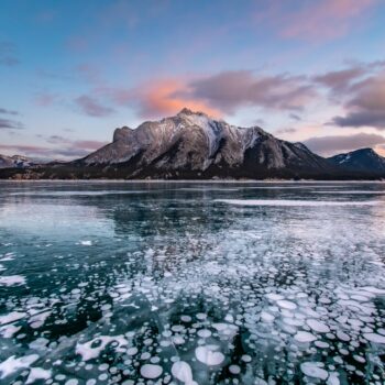 Bubbles at Abraham Lake